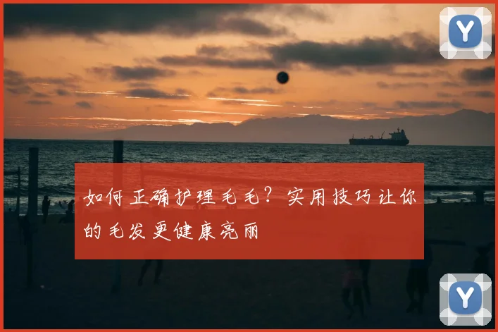 如何正确护理毛毛？实用技巧让你的毛发更健康亮丽