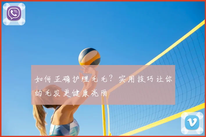如何正确护理毛毛?实用技巧让你的毛发更健康亮丽